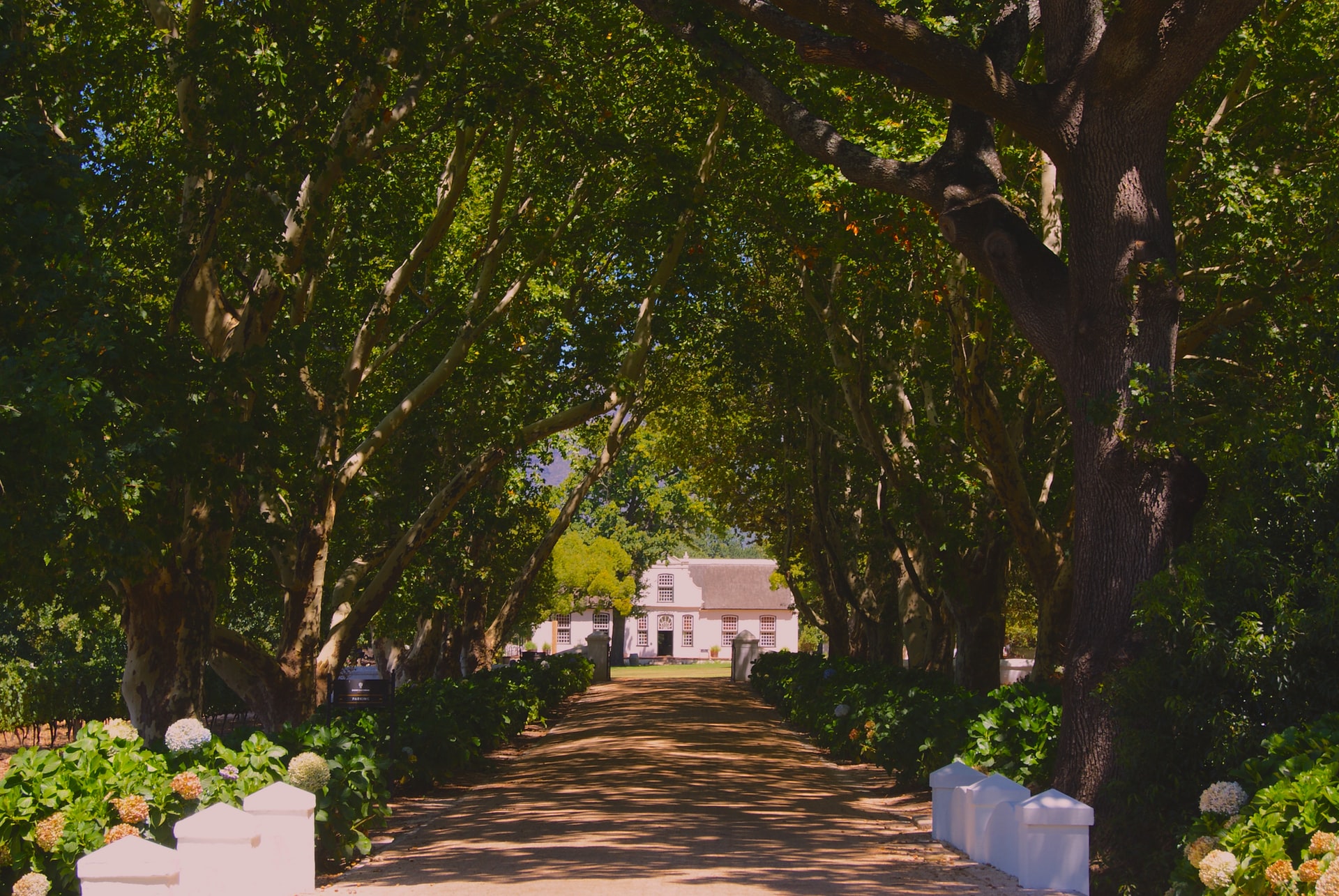 marcelo-novais-5QmICrEzcbc-unsplash