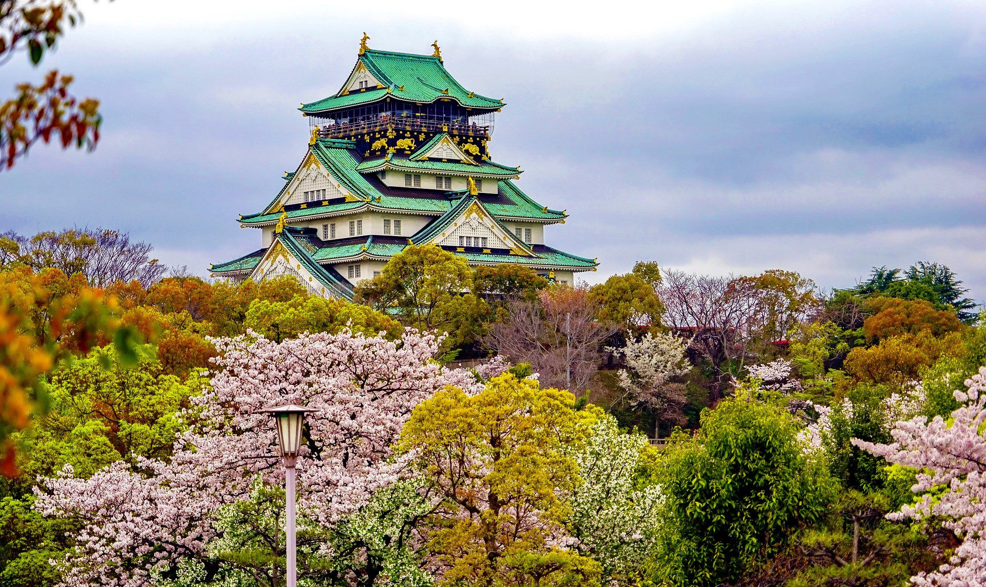cherry-blossoms-g0479631cd_1920