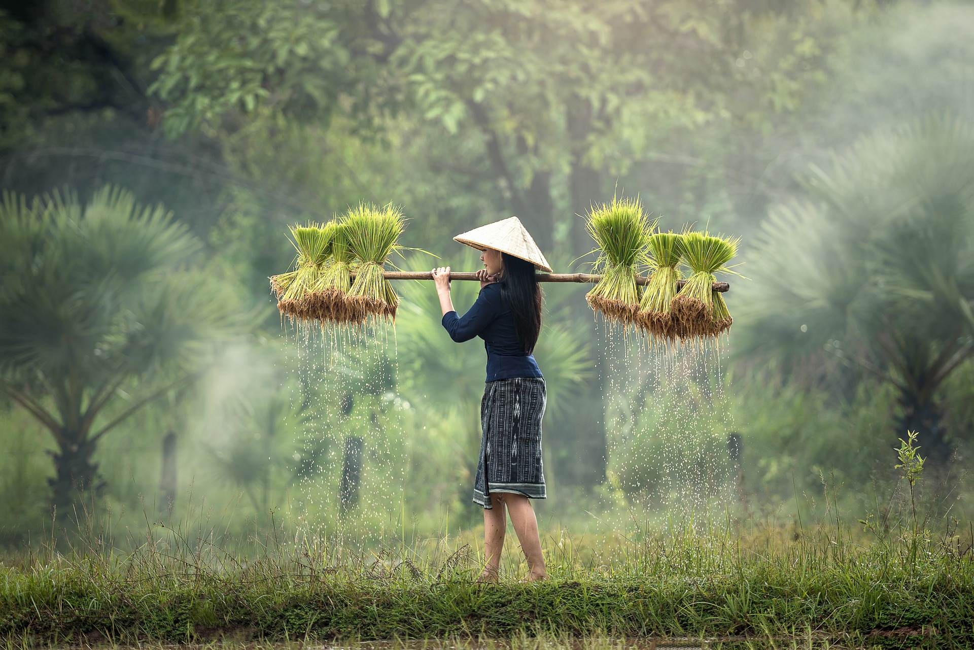 harvesting-g1d1e53c5b_1920