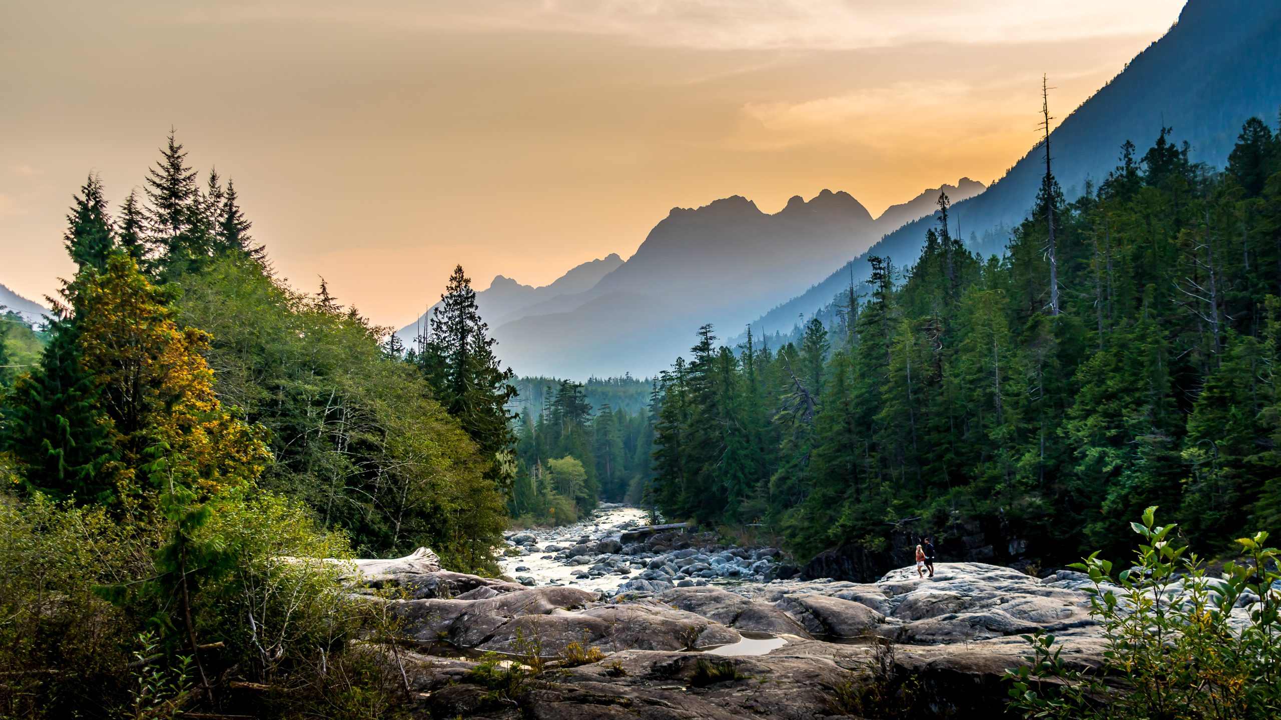 AdobeStock_386070334 (1)