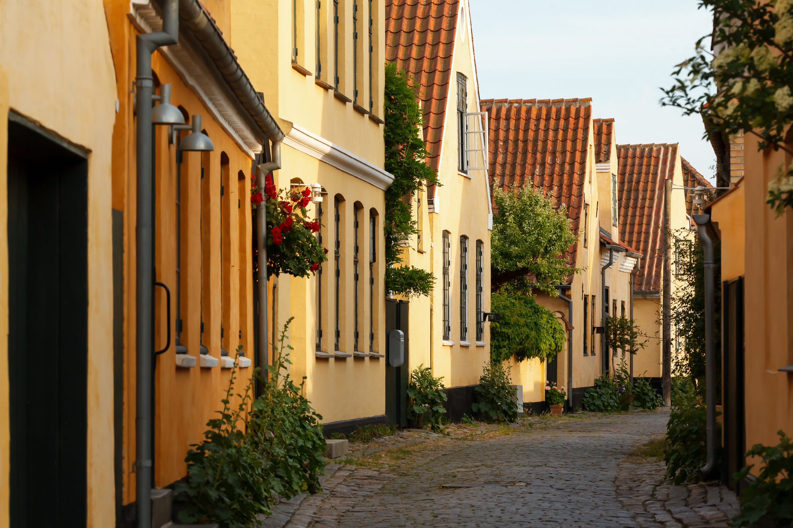 AdobeStock_303380237